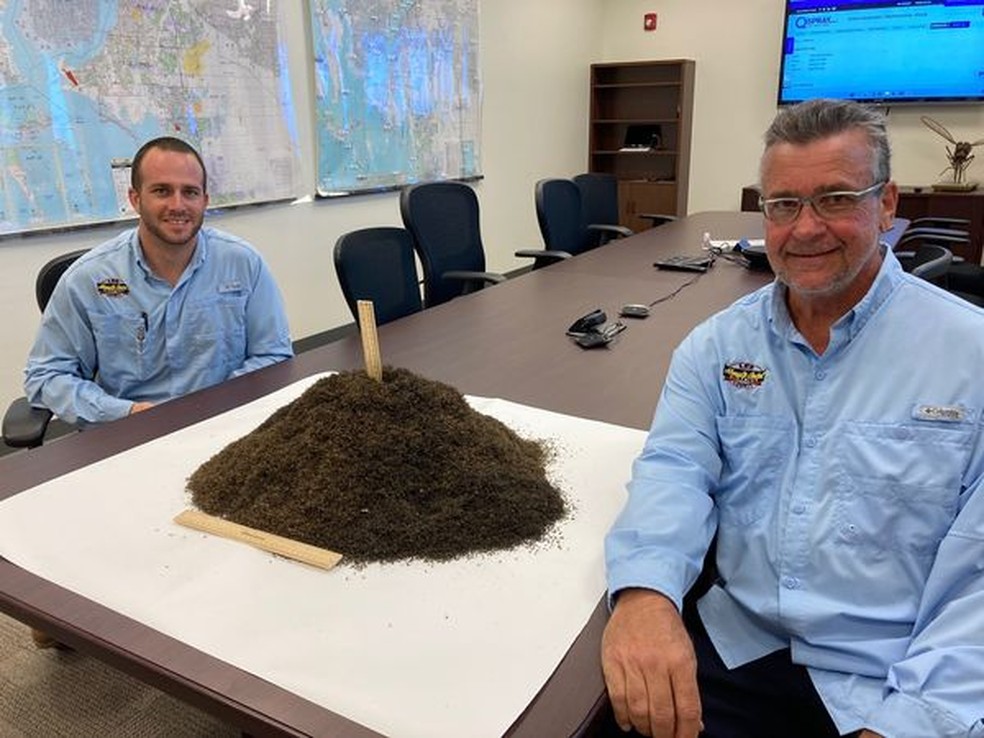 Agentes do controle de pragas da Flórida ao lado de pilha com milhões de insetos — Foto: Lee County Mosquito Control District via Storyful