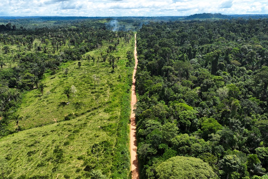 Vista aérea de área desmatada da Amazônia em Uruará, no Pará