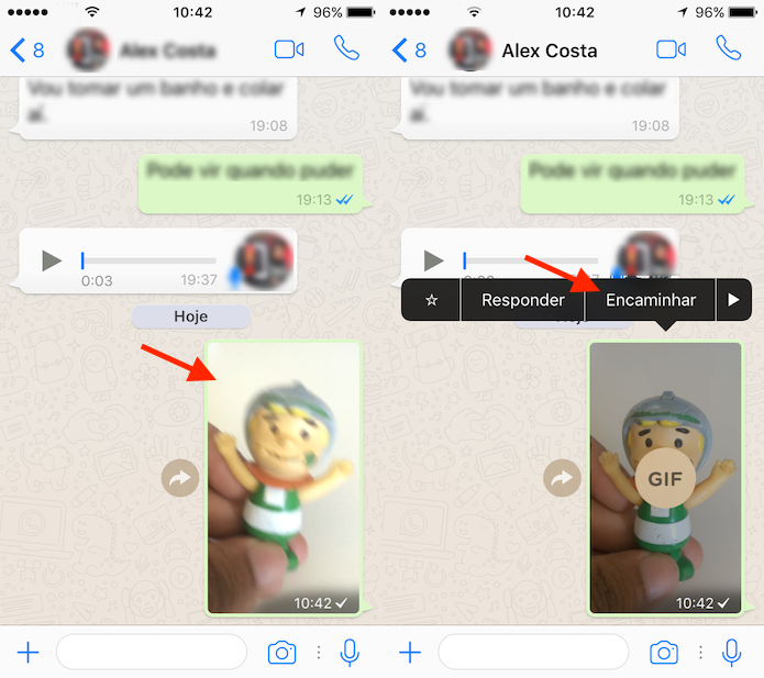 Opção para encaminhar uma GIF criada no WhatsApp para iPhone (Foto: Reprodução/Marvin Costa)