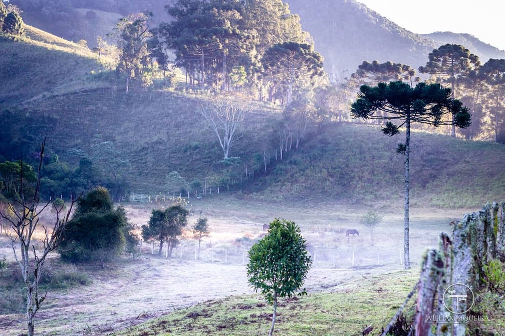 Frio Maria da Fé (MG) nesta terça-feira (26); cidade teve 1,3ºC — Foto: William Siqueira