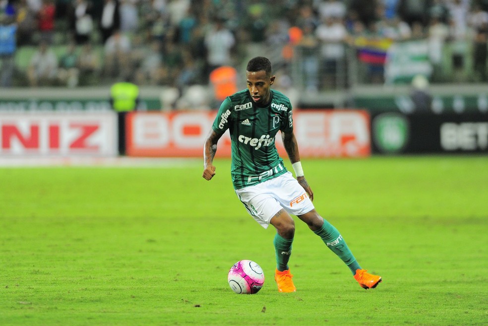 TchÃª TchÃª durante partida pelo Palmeiras (Foto: Marcos Ribolli)