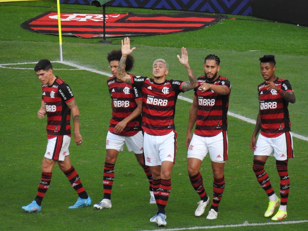 Flamengo x Goiás gol Pedro — Foto: Fred Gomes