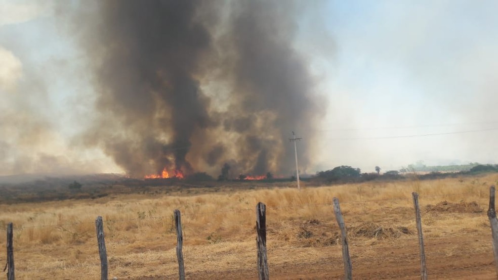 Fogo atinge mata no Crato â€” Foto: Arquivo pessoal