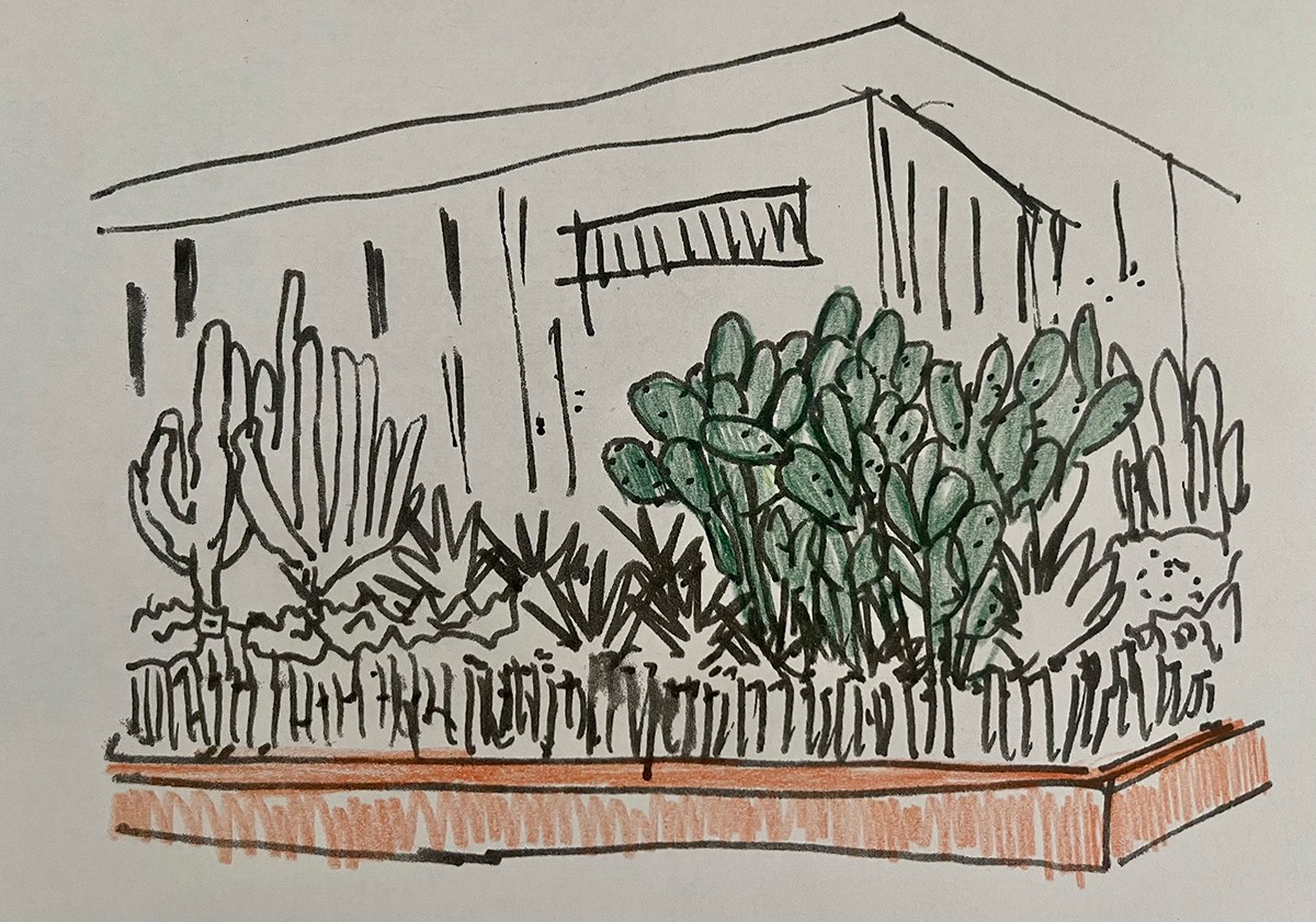 Croqui de um jardim com destaque para a Opuntia ficus-indica, cedido pelo Escritório Patrícia Akinaga Arquitetura Paisagística (Foto: Escritório Patrícia Akinaga Arquitetura Paisagística, urbanismo ecológico e planejamento ambiental)