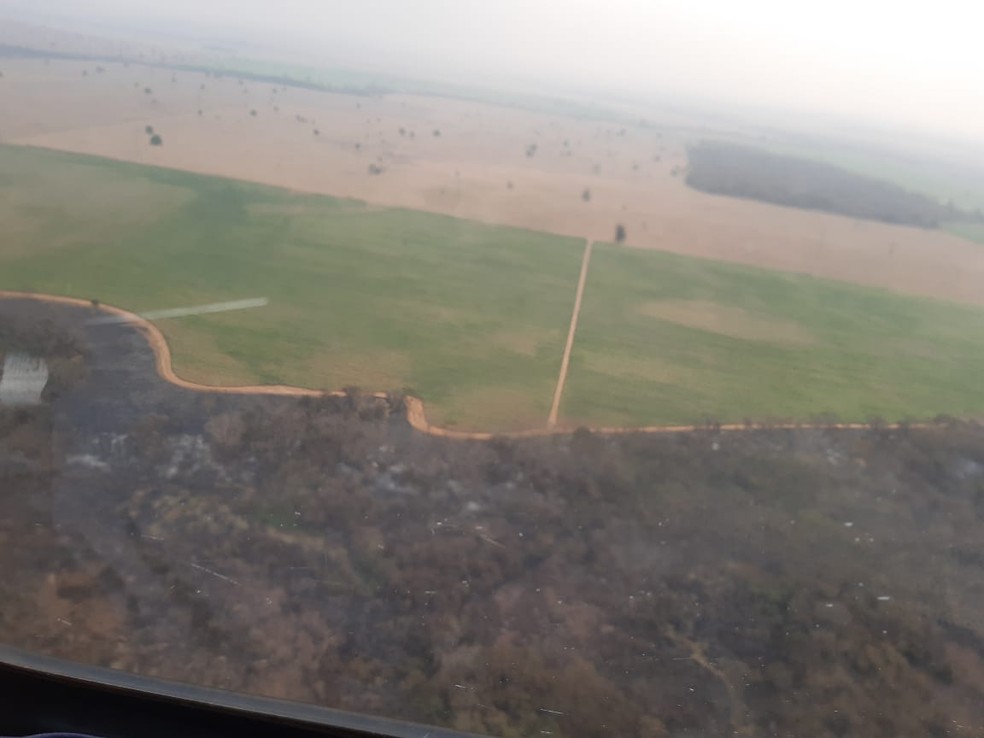 Incêndio atinge Parque Estadual do Aguapeí — Foto: Defesa Civil