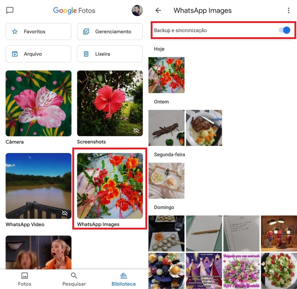 Minhas Fotos Sumiram Do Google Fotos Saiba Como Resolver O Problema Albuns E Organizadores Techtudo