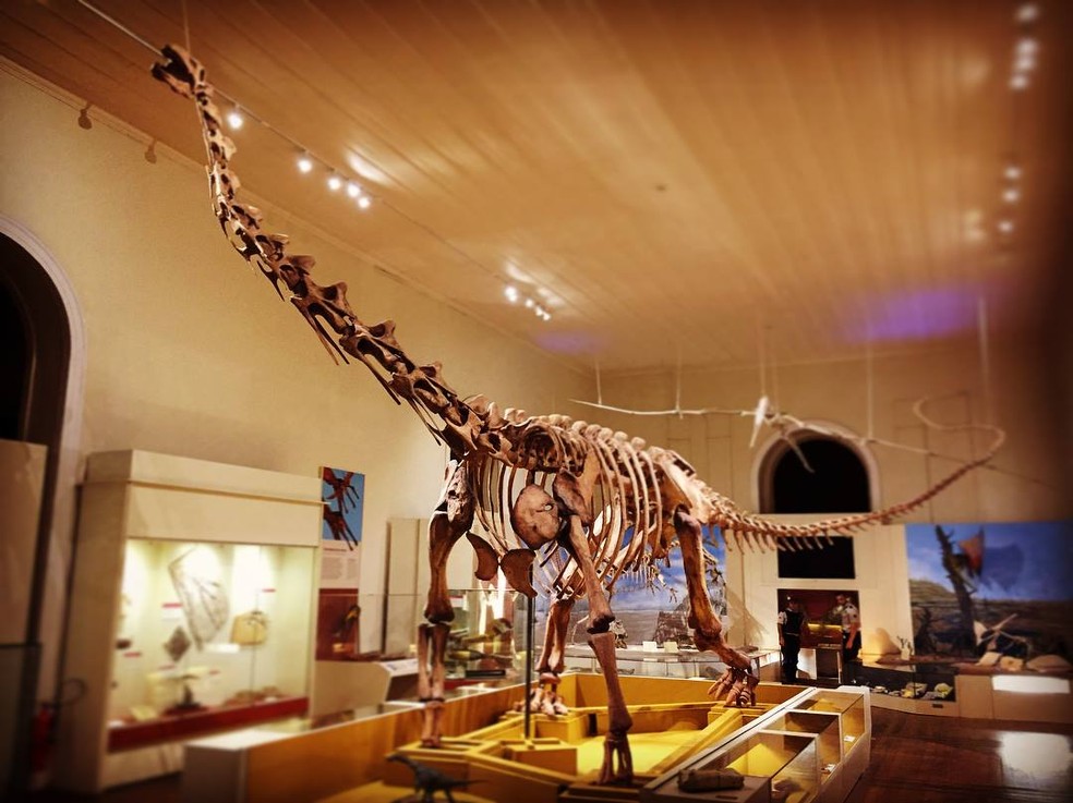 Exposição inaugurada em julho no Museu Nacional trazia o Maxakalisaurus topai, o primeiro dinossauro de grande porte montado no Brasil (Foto: Divulgação/Museu Nacional)