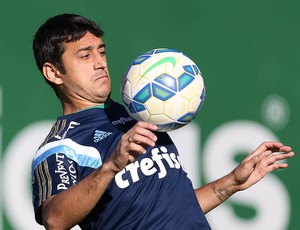 Robinho Palmeiras (Foto: Cesar Greco/Ag Palmeiras/Divulgação)