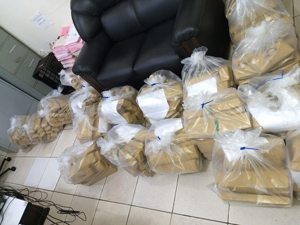 Droga foi apreendida e jovem de 17 anos foi encaminhado para a delegacia de Itápolis (SP) (Foto: Polícia Rodoviária/Divulgação)