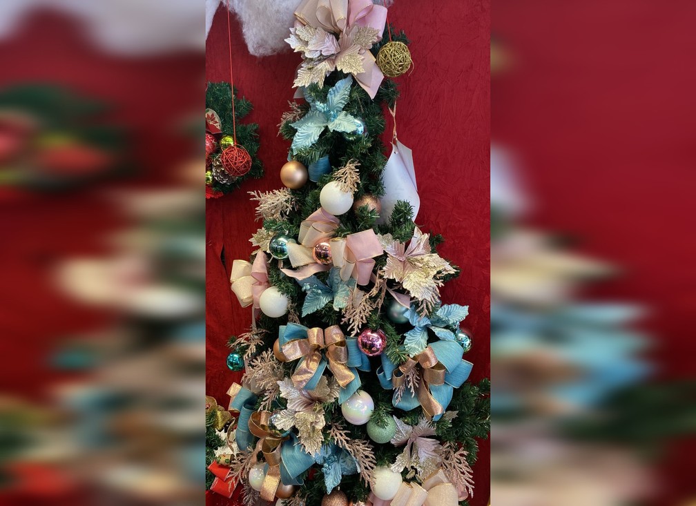 De árvore até mesa posta: saiba dicas de como decorar a sua casa para o  Natal | Sorocaba e Jundiaí | G1