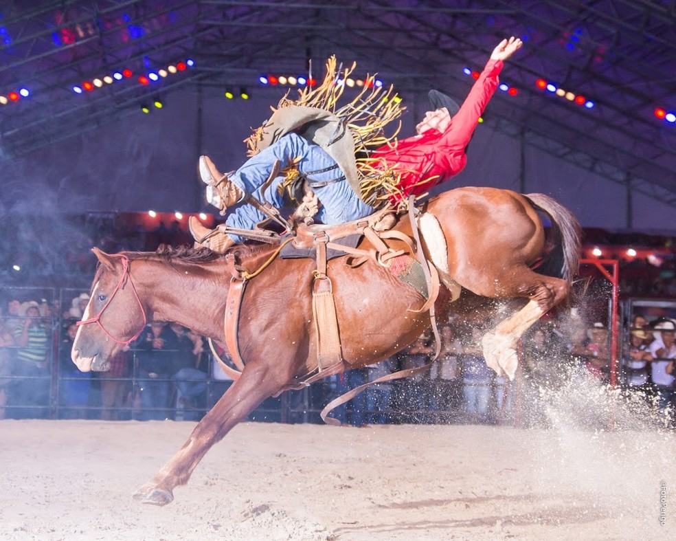 Rodeio de Sumaré divulga grade de shows e libera venda de ingressos para  edição de 2022 | Campinas e Região | G1