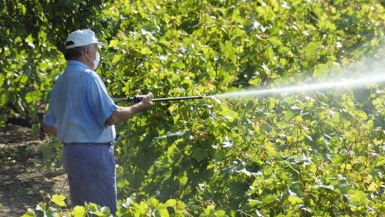 Herbicida pré-emergente Kyojin tira as daninhas da sua plantação!