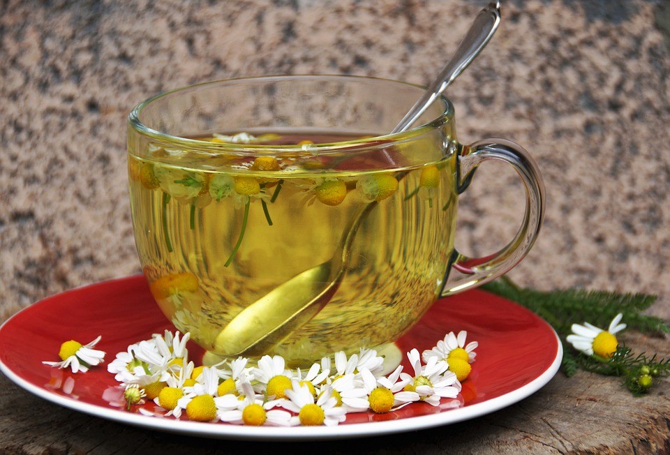 O chá de camomila sem açúcar é indicado para aliviar os sintomas da azia (Foto: Pixabay/Ivabalk/CreativeCommons)