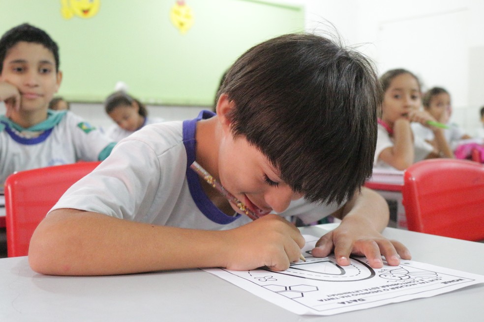 Luís Guilherme tem 10 anos e faz a 4ª série do Ensino Fundamental.  — Foto: José Marcelo/ G1 