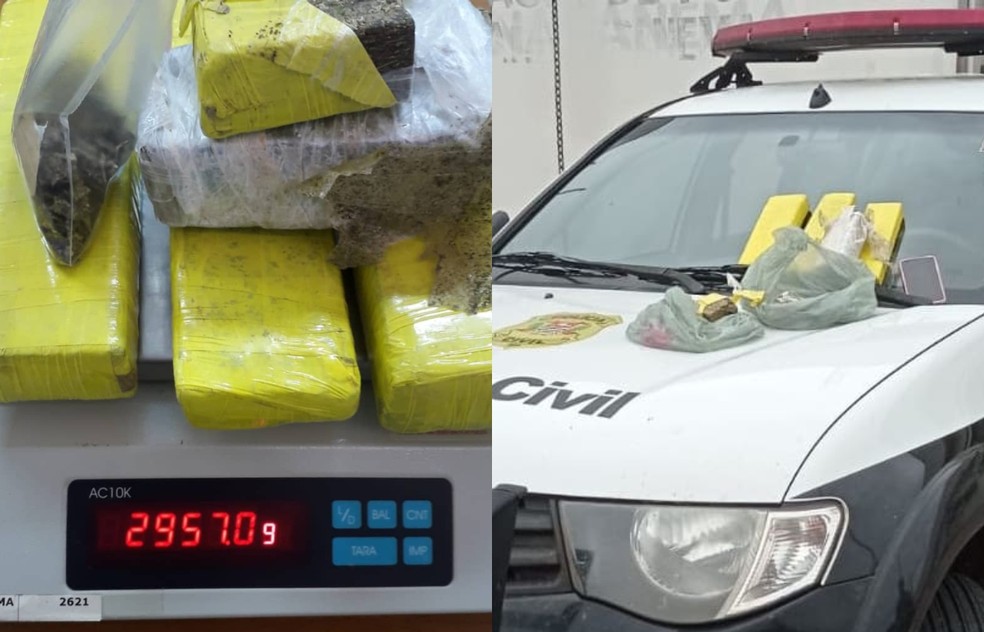 Jovem de 29 anos é presa suspeita de tráfico drogas em Paranapanema — Foto: Polícia Civil/ Divulgação