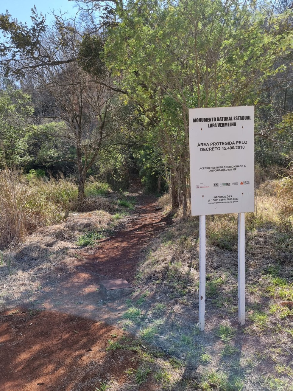 Área de proteção em Pedro Leopoldo — Foto: MPMG/Divulgação