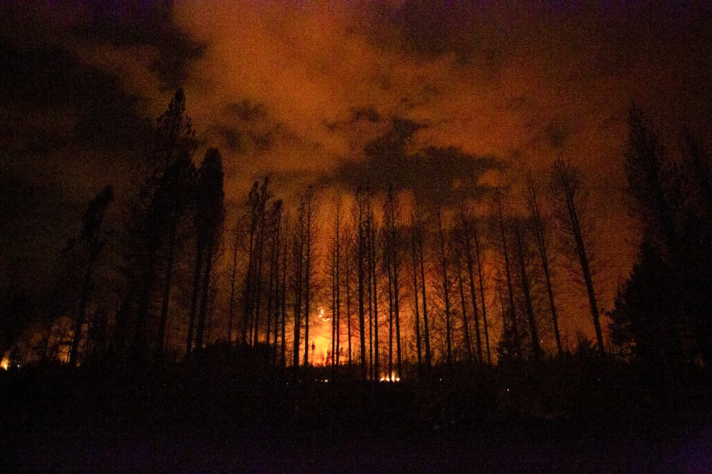 Chamas atingem floresta na Patagônia argentina — Foto: Matias Garay/AP Photo