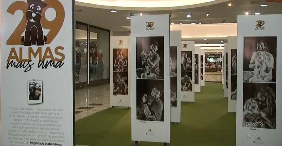 Fotos foram expostas em um shopping de Rio Preto  — Foto: Reprodução/TV TEM 