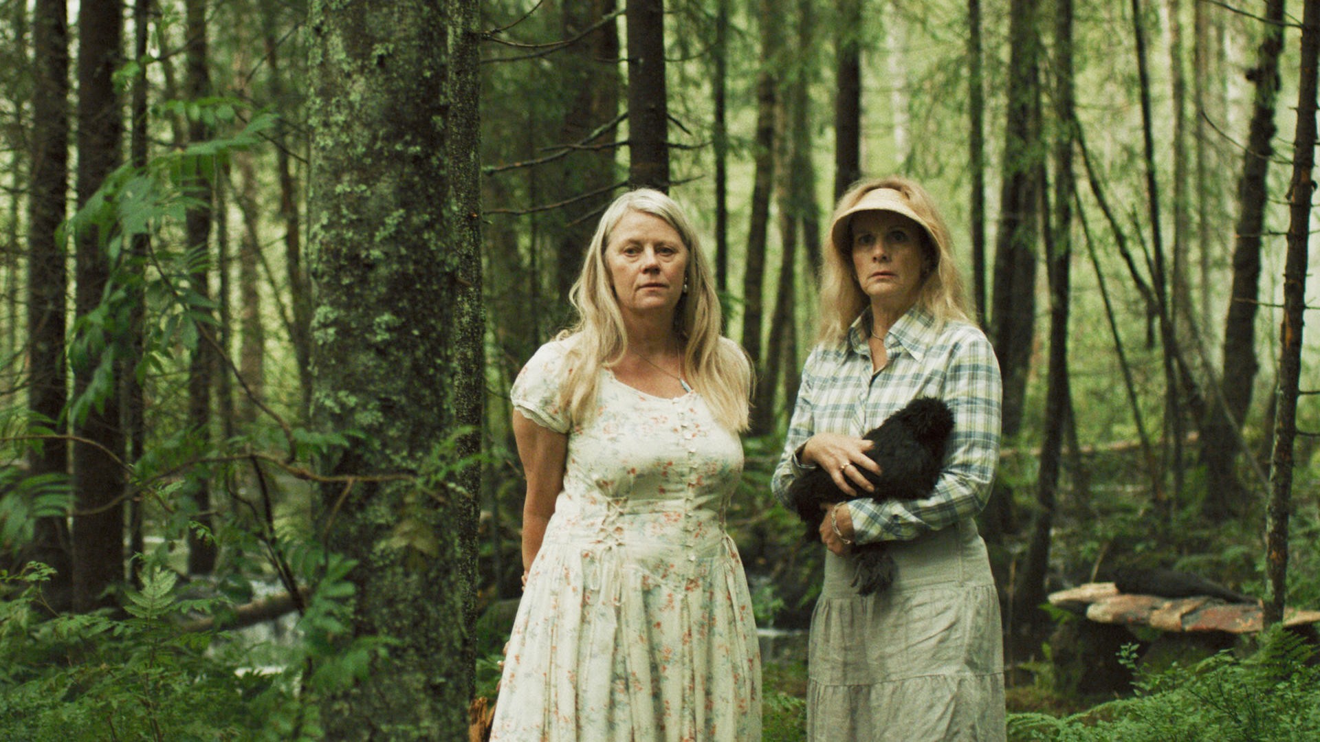 Série norueguesa Coletivo Terror estreia em março na Netflix (Foto: Divulgação/Netflix)