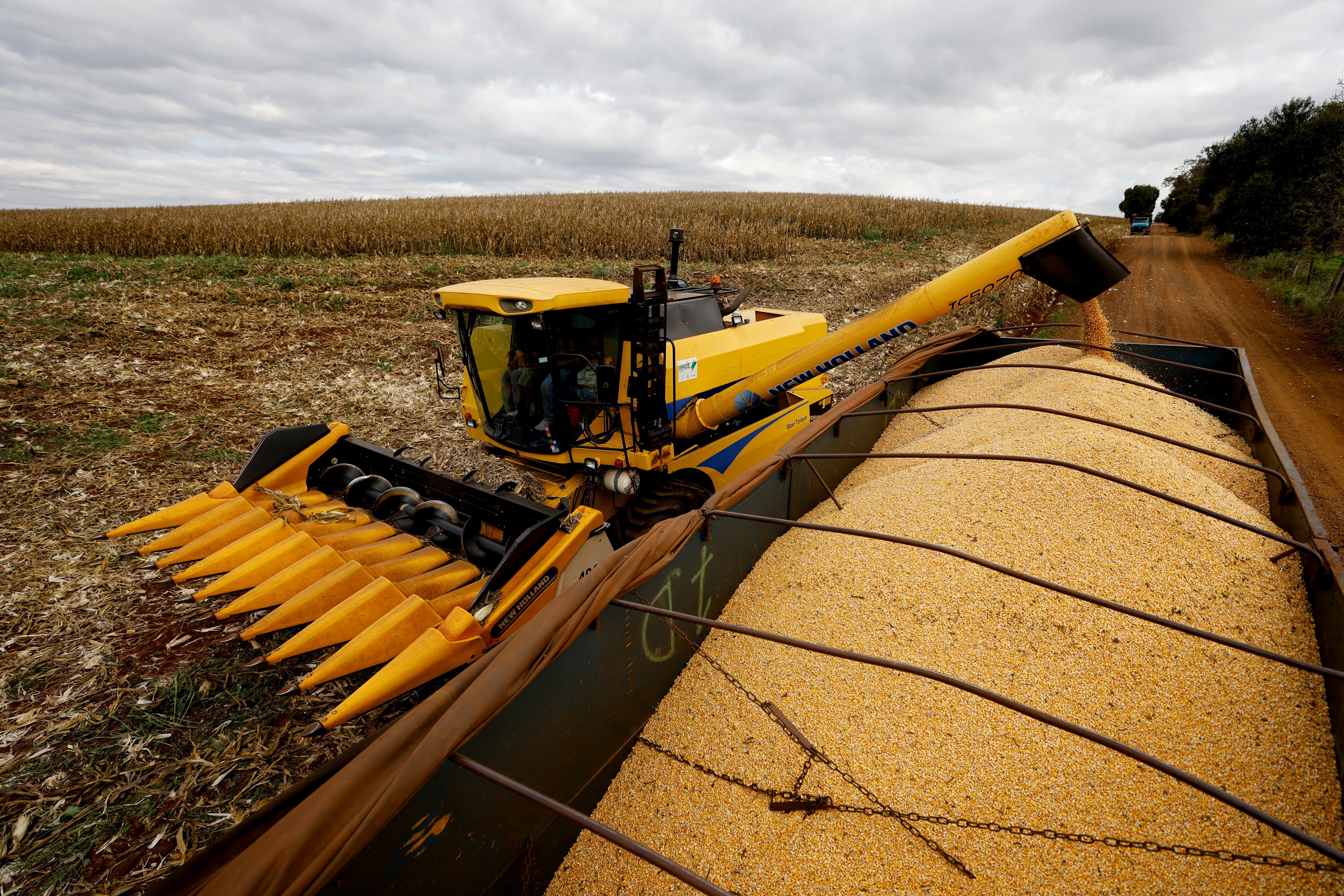 Colheita de inverno e preparativos para safra de verão são destaques da Globo  Rural - Revista Globo Rural