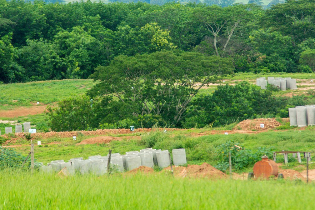 Loteamentos já começaram a ser direcionados para locais próximos de áreas florestadas — Foto: Stephanie Fonseca/g1