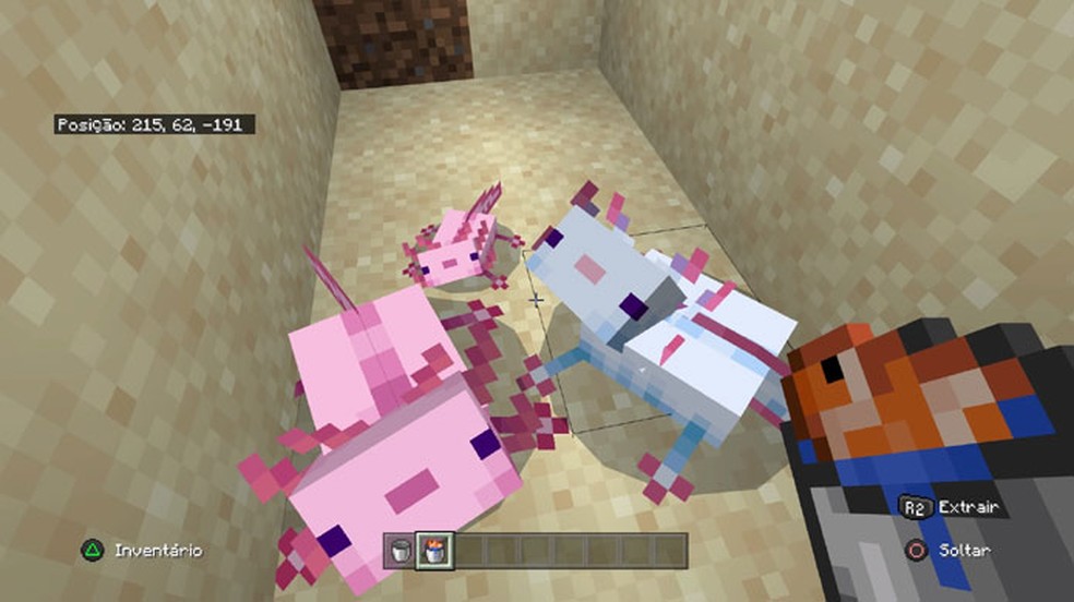 Axolote No Minecraft Veja Como Encontrar Domar E Reproduzir Jogos Casuais Techtudo