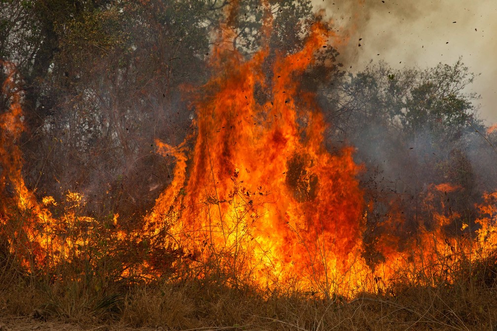 Fotógrafo Araquém Alcântara registra fuga de animais e a destruição das queimadas no Pantanal. — Foto: Araquém Alcântara/Divulgação