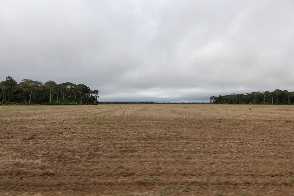 Vista da BR-163, estrada que liga Santarém, no Pará, a Cuiabá, no Mato Grosso — Foto: Marcelo Brandt/G1
