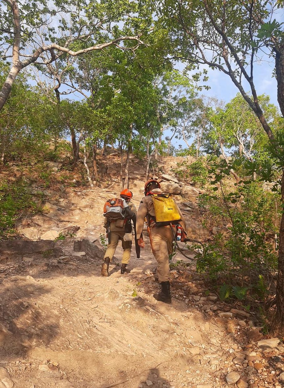 Bombeiros combatem incêndio no Morro de Santo Antônio (MT) que teria iniciado após fogos de artifício — Foto: Corpo de Bombeiros de Mato Grosso