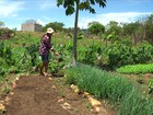 Agricultores de Pernambuco aprendem a produzir com pouca água