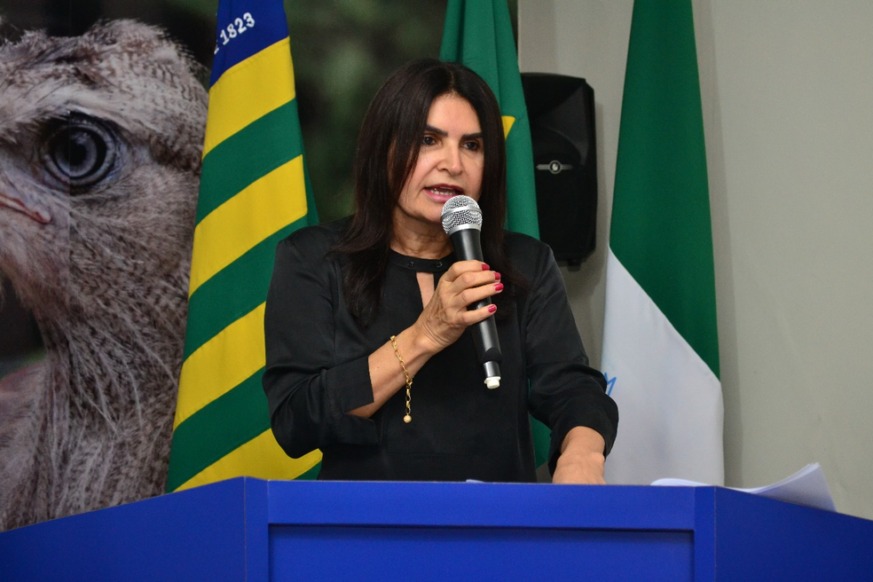 Prefeita Regina Coeli disse que sentiu ofendida de forma pessoal (Foto: Divulgação/Prefeitura de Pio IX)