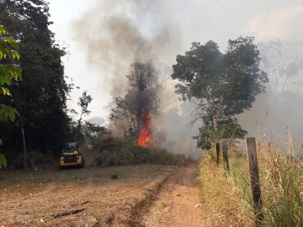 Fogo atinge vegetação de Matinha São José, em Espigão — Foto: Secretaria Municipal de Meio Ambiente/Divulgação