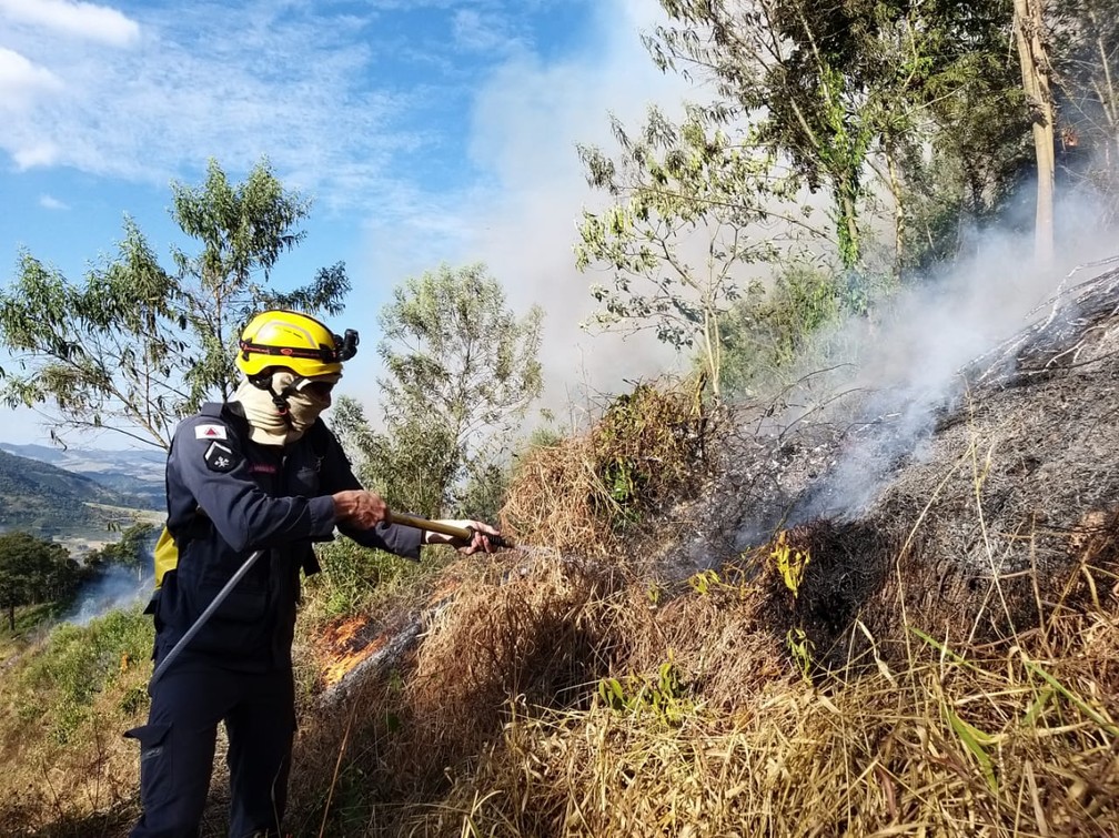Fogo atingiu três pontos de vegetação em Poços de Caldas (MG) — Foto: Corpo de Bombeiros