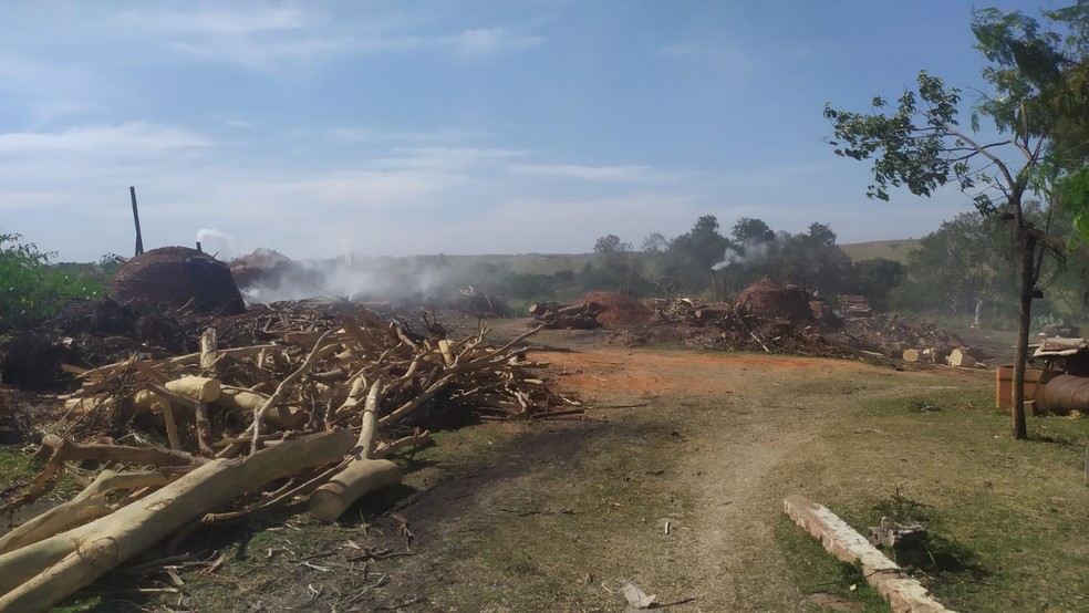 Queima de carvão foi constatada em sítio em Santo Anastácio (SP) — Foto: Polícia Ambiental 