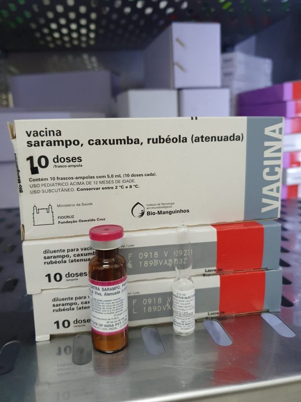 Vacinação contra sarampo 2020: SC oferece imunização para ...