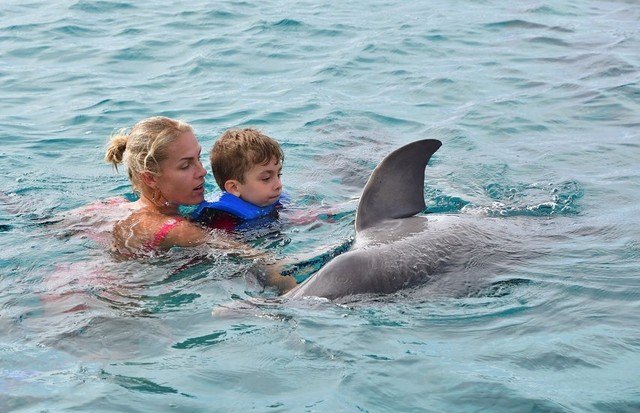 Ana Hickmann compartilha registros de mergulho com golfinho em Curação (Foto: Reprodução/Instagram)