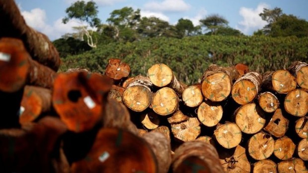 Durante a COP26, Brasil se comprometeu com o Acordo sobre Florestas. Mas projetos de lei apoiados pelo governo têm potencial de aumentar desmatamento (Foto: REUTERS/ADRIANO MACHADO via BBC)