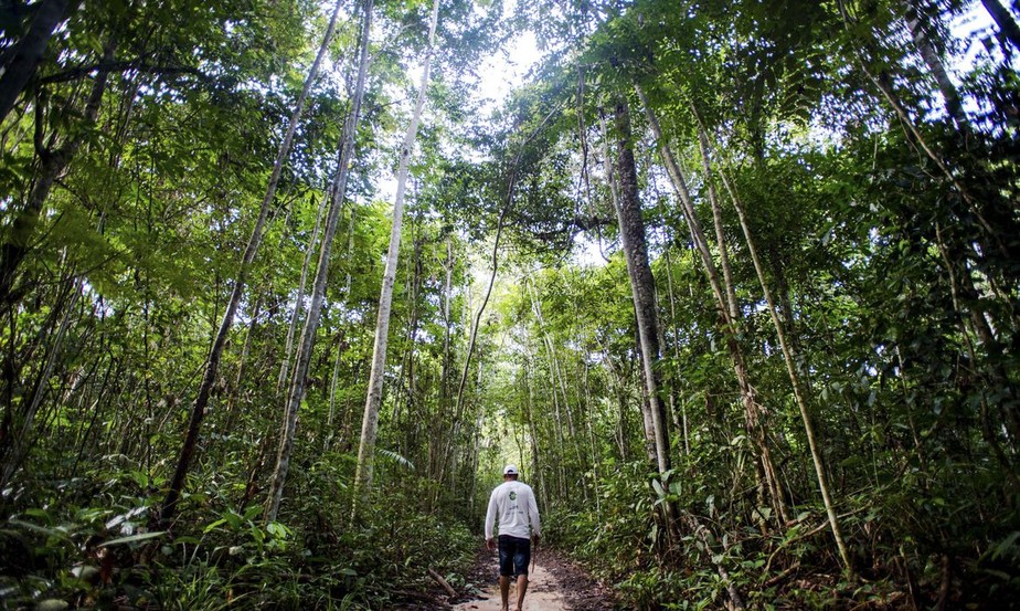 Manejo sustentável em floresta de Juruena, MT, Brasil: Antônio Bento de Oliveira caminha em busca de castanheiras por área da reserva legal comunitária do assentamento Vale do Amanhecer