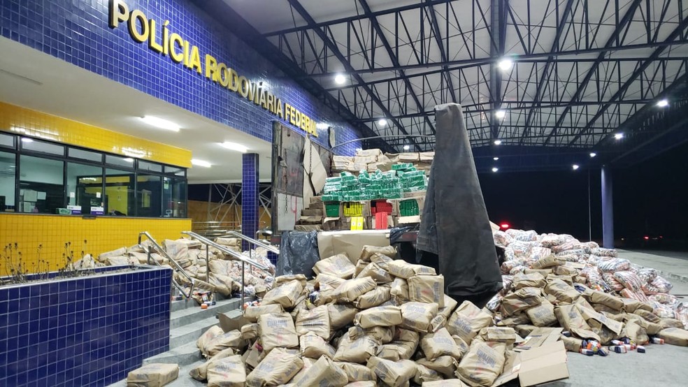 PRF apreende uma tonelada de maconha no Sertão alagoano — Foto: PRF