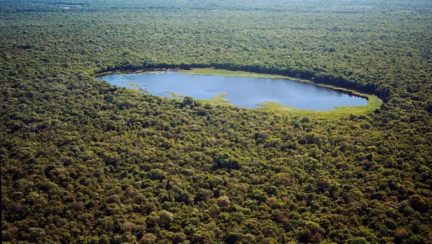 Amazônia ; floresta tropical ; reserva indígena ; sustentabilidade ; desmatamento ;  (Foto: Marco Di Pietro/Arquivo/SECOM-TO)