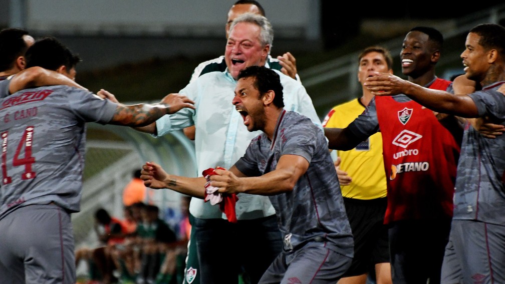 Ao lado de Fred, Abel Braga vibra com o gol tricolor contra o Cuiabá: 1 a 0 — Foto: Mailson Santana/Fluminense FC