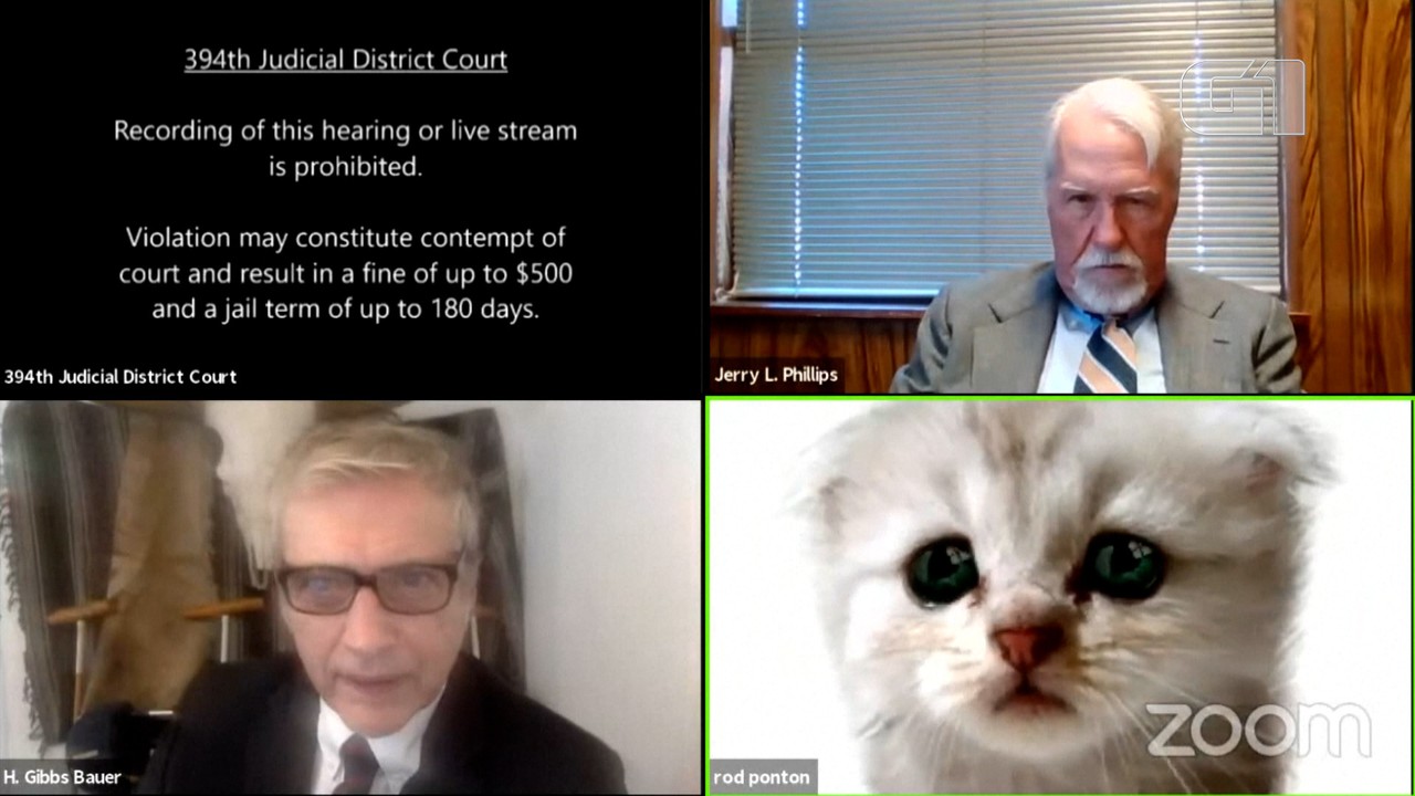 VÍDEO: Advogado ativa acidentalmente filtro de gato em audiência virtual nos EUA