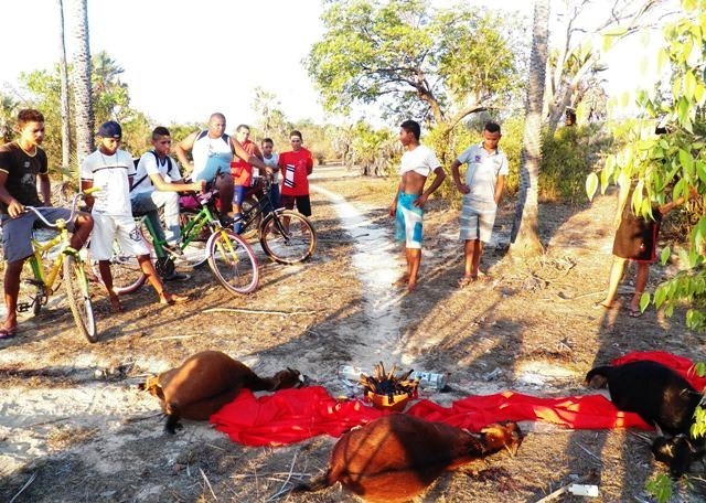 Objetos e animais mortos foram encontrados pela população de Barras (Foto: Barras Virtual)