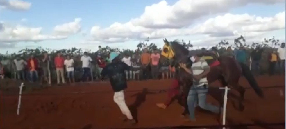 Desfile de cavalos aconteceu no último domingo (19), em Ourolândia — Foto: Reprodução / TV Bahia