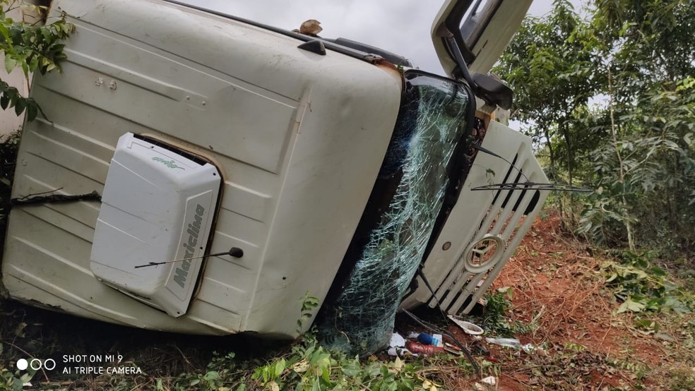Motorista ficou ferido e sete bois morreram nessa sexta-feira (15) após um acidente na MT-170, região de Brasnorte a Campo Novo do Parecis. — Foto: Arquivo pessoal