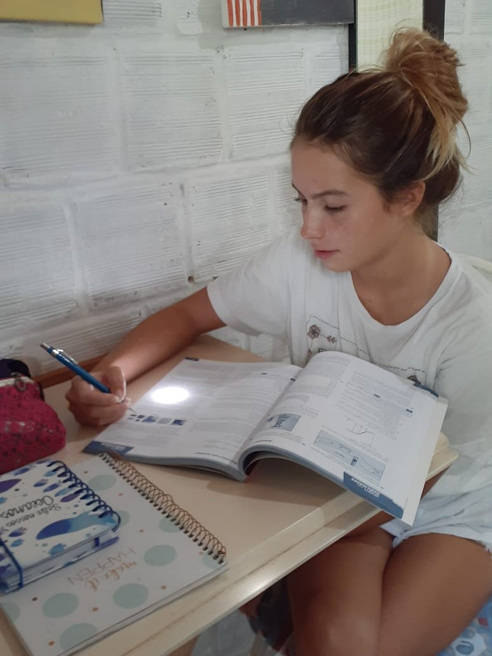Com aulas suspensas por causa da pandemia, Clara estudou sozinha para o Enem 2020 &mdash; Foto: Arquivo pessoal