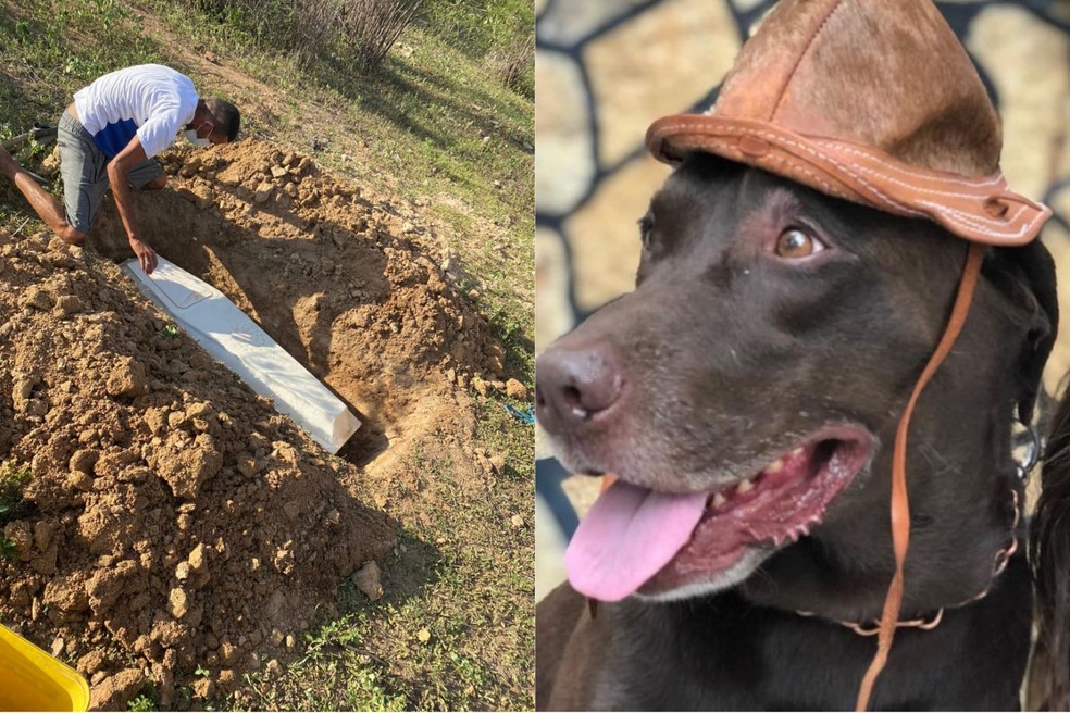 O cachorro Alfredo foi enterrado pela família da qual fazia parte, no interior do Ceará. — Foto: Arquivo pessoal