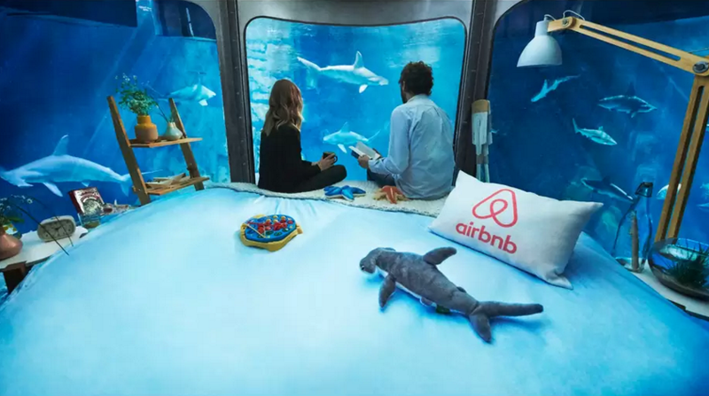 Para participar da promoção, é preciso escrever um texto explicando sua vontade de dormir com os tubarões (Foto: The Shark Aquarium on AirBnB )
