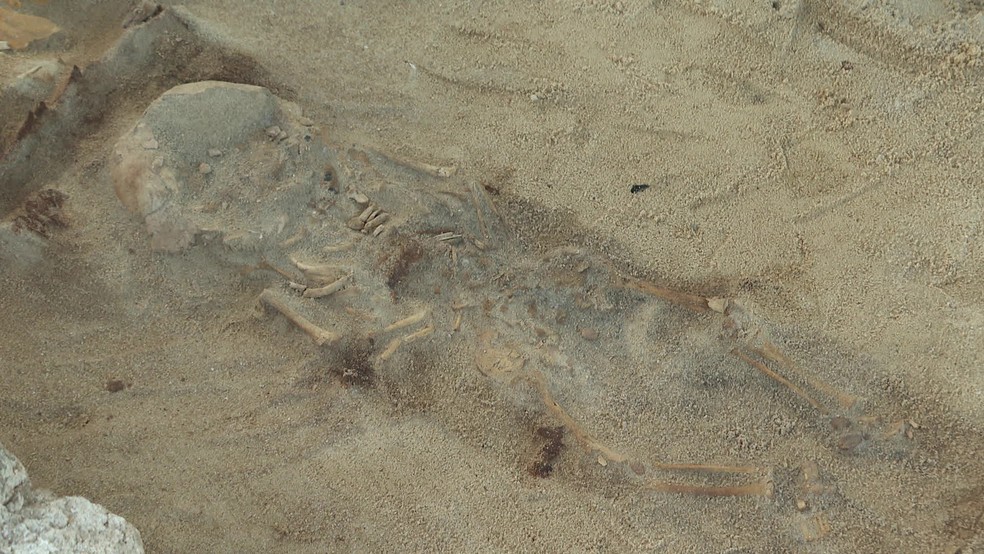 Foi identificada a ossada de um bebê durante a investigação histórica que arqueólogos estão fazendo na comunidade do Pilar — Foto: Reprodução/TV Globo
