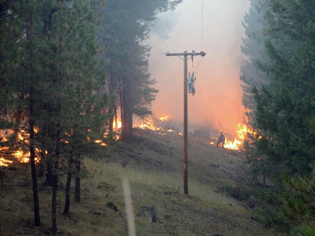 Bombeiro observa as chamas de incêndio no Canyon Creek Complex, em Oregon, na segunda-feira (17) (Foto: Reuters/Gert Zoutendijk/Oregon State Fire Marshal/Handout)